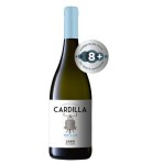 Pellegrino Cardilla Grillo