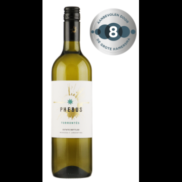 Phebus Torrontés Mendoza